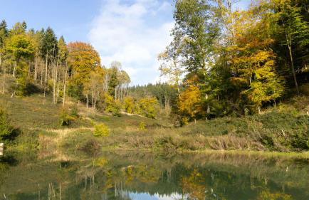 The Piggery - Foto 18