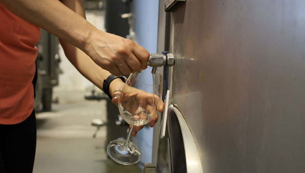 Dégustation de vins