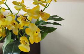 Vista do Mucuripe by DS Imóveis - Foto 34