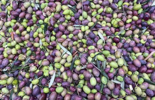 Niriides Studios - Foto 25