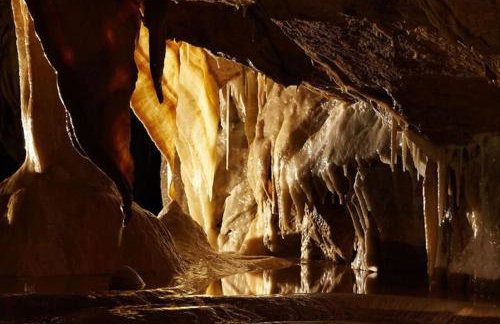 Dom Puchacza w Lądku-Zdroju - Foto 77