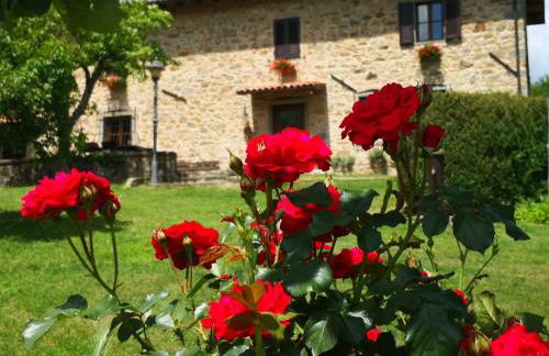 Agriturismo Braccicorti - Foto 16