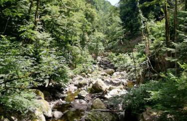 Torwärterhaus mit Geschichte - Foto 29