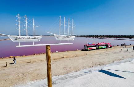 Apartamento Agua Rosa - Foto 67