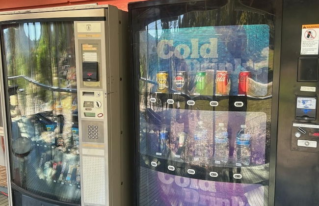 The Black Sparrow - Photo 64