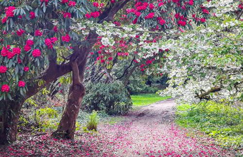 Harbour Retreat - Foto 23