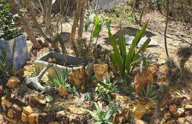 Casa Ecológica - Foto 4
