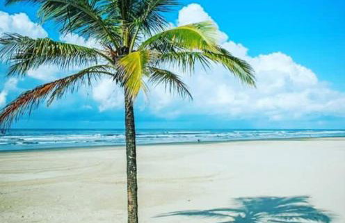 Acolhedor com suíte e wi-fi - Foto 21