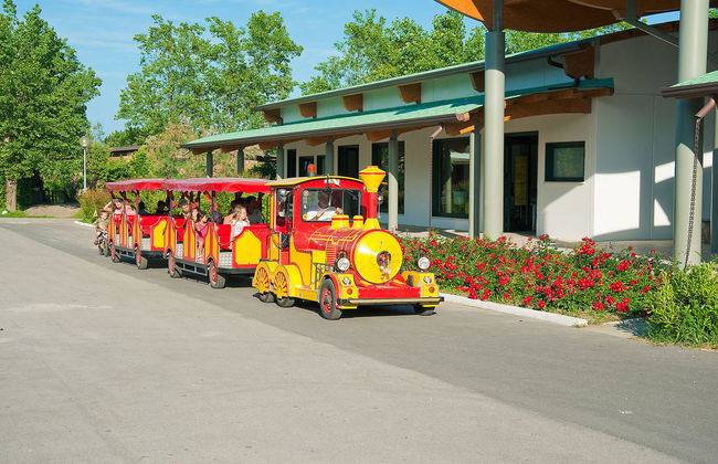 Happy Plus - Foto 24