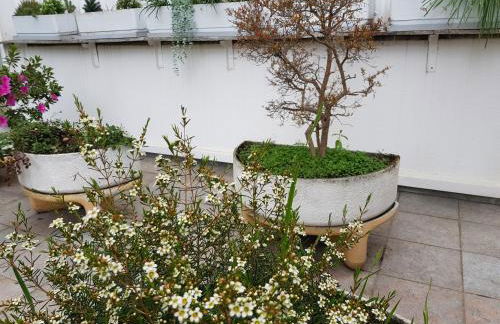 MAXIMO CONFORT - Foto 25