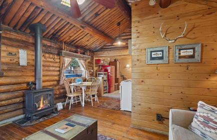 Wild Bills Cabin - Foto 16