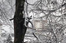 condominio Brembo a casa di Barbara - Photo 20