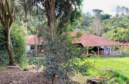 Sítio há 10 mim da Rota do Vinho - Foto 54