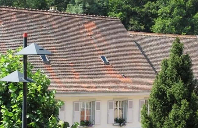 La Maison des Fontaines D'alsace - Photo 37