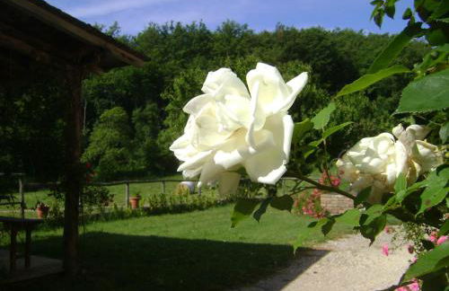 Castellare - Foto 78