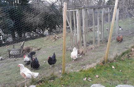 Little Burbank - Foto 22