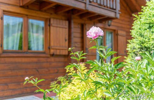 Chalet La Calougeotte, jardin, spa et sauna privés - Foto 18