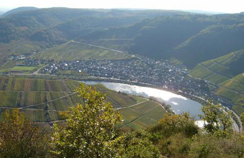 Moselblick - Foto 25