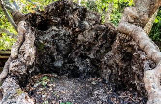 Kalliopi's Apartment - Photo 44