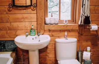 Bothy Cabin -Log cabin in wales - with hot tub - Foto 23