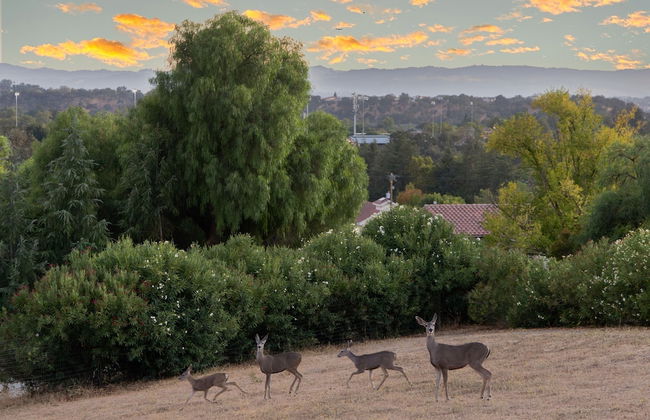 Paso Vista Bella by Avantstay Luxe Group Escape w Wine Country Views - Photo 46