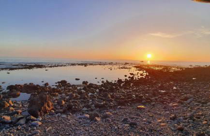 ALAYNA´S HOMES - Foto 54