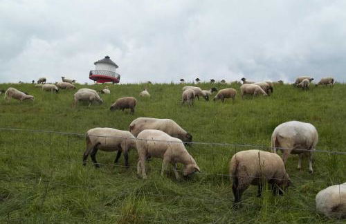 Ferienwohnung Batram - Photo 13