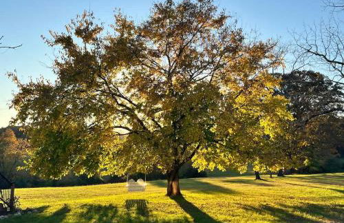 The Houses at Lumusa - Foto 53