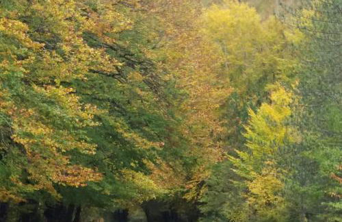 Casetta Angie - Foto 69