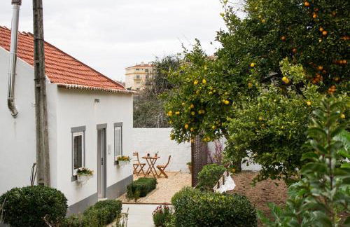 Casa do Avô Serra - Foto 42