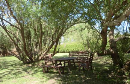 Apartments in Ribnitz-Damgarten 36531 - Foto 18