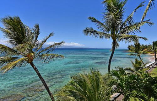 Hale Ono Loa 401 - Foto 21