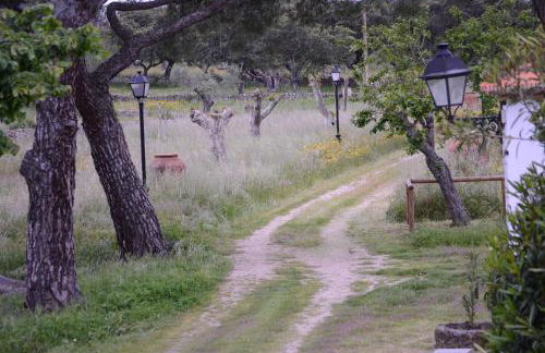 Casa Rural Los Jarales Número Registro TR-CC-00365 - Foto 16