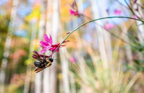 Full Bloom Tree House - Foto 43