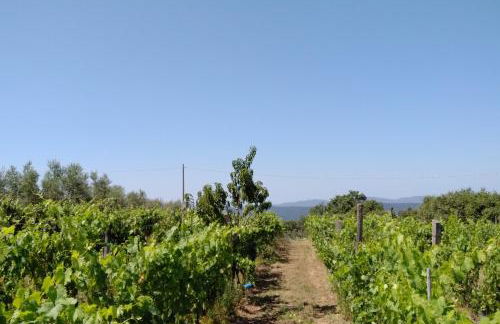 PODERE TORRICELLE 69B Pancole Gr, seaview infinity pool, jacuzzi, sauna, exclusive villa with 2 bedrooms for 4 - If you total 5 or 6 people there is an independent suite in main villa with private ensuite bathroom, kitchenette and garden dining area - Foto 72