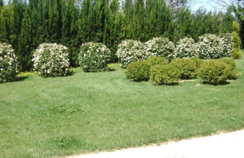 Bastide des Lauves - Foto 61