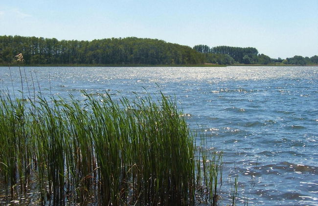 Doppelhaushalfte, Plau am See - Foto 11