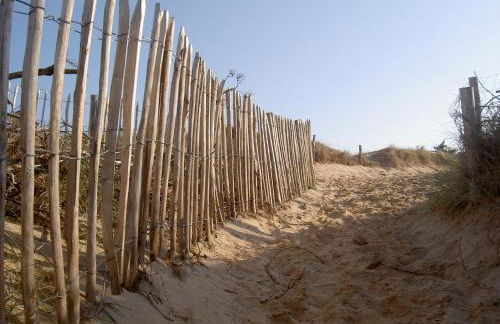 Le Figuier - Foto 48