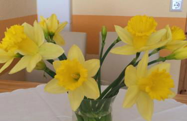 Ferienwohnung Gürth - Foto 50