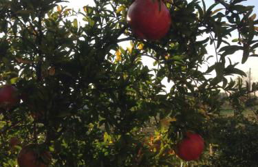 Dreams Valley - Foto 67