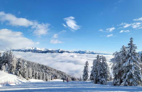 Krebslechnerhof - Foto 31