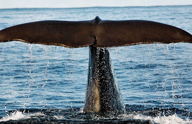 6 Person Holiday Home in Hennes - Foto 6