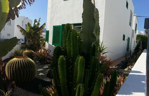 Caracola azul - Foto 29