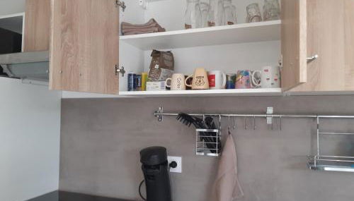 Les châtillonnes 25 minutes du zoo de beauval - Foto 4