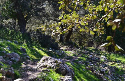 Casa Isabel - Foto 51