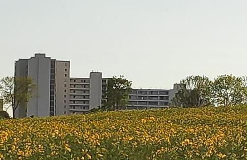 Ferienwohnung mit Ostseeblick & Strandlage - Foto 13