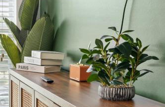 Reynoldstown Lux 2BR, Rooftop Deck, Near Beltline & Downtown, Free Parking - Foto 23