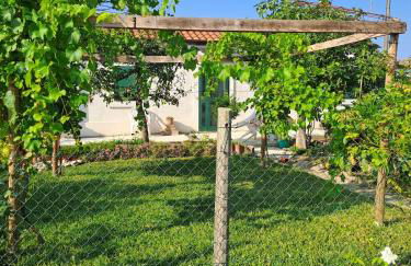 a casa di nonna Tarsilla-entire apartment,5 guests - Foto 7