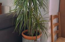 Casa Doris - Foto 22