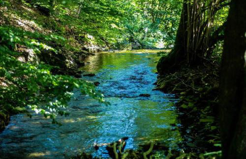 Ferienwohnung Am Quellental - Foto 22